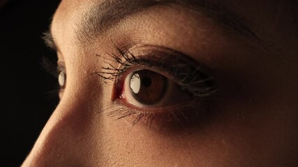 Wall Mural - The Eyes of a woman - extreme close up shot - studio shooting