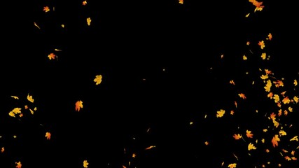 Wall Mural - explosion of autumn maple leaves realistic.3d rendering.element footage. easy to use and change colo