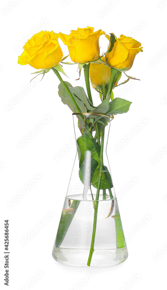 Vase with fresh yellow roses on white background