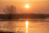 Fototapeta Tęcza - Mgły o wschodzie słońca