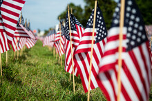 Hundreds Of American Flags Planted On The Lawn