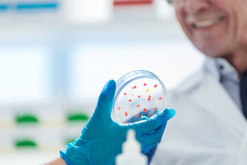 Wall Mural - close up. Petri dish in the hand of researchers.