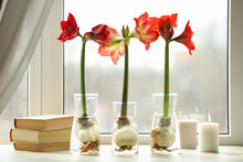 Beautiful Red Amaryllis Flowers, Books And Candles On Window Sill Indoors