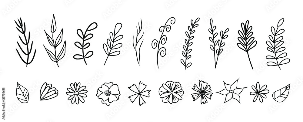 Set of vector vintage floral elements. Cute set of doodle frames and borders. Elements flowers, branches, swashes and flourishes	
 - obrazy, fototapety, plakaty 