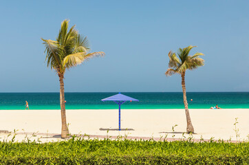 Wall Mural - Palm trees on Al Mamzar beach in Dubai