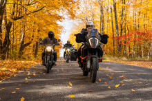 Group Of Friends Riding Motorcycles In The Fall In Canada