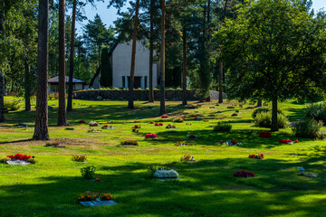 Wall Mural - Cemetery with many graves decorated with colorful flowers