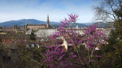 Wall Mural - Beautiful view of Basilica of the Holy Cross in Florence seen from Piazzale Michelangelo during the spring season with flowering trees. Italy