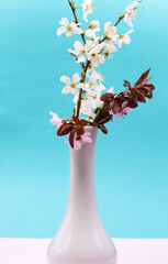 Wall Mural - cherry blossom in a vase