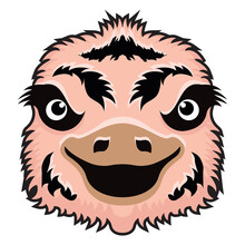 Download This Premium Glyph Icon Of Ostrich Face 