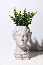 Trendy Venus Plaster Head Planter With Pearls And Gold Jewelry