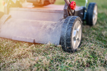 Wall Mural - Aeration of the lawn in the garden. Red aerator on green grass. Gardener Operating Soil Aeration Machine on Grass Lawn. Lawn scarification.