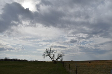 Poster - Cloudy Sky Over a Field