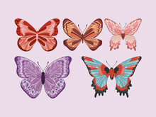 Six Cute Butterflies