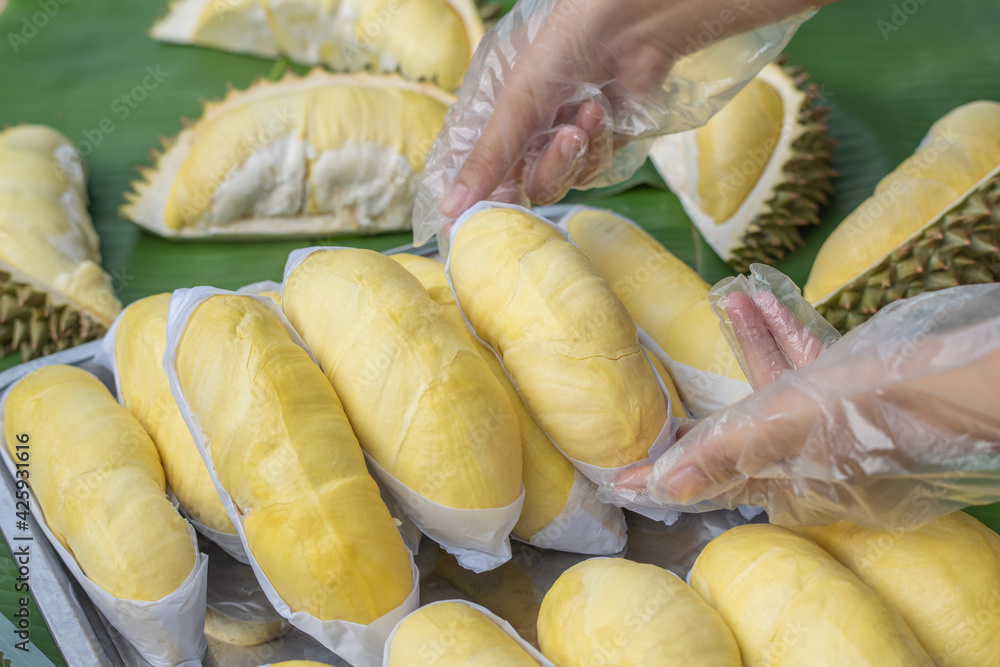 A woman wearing a cooking glove holds a golden yellow durian with a ...