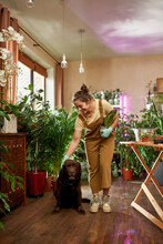 Joyful Young Woman Wearing Protective Gloves Smiling, Stroking Her Dog While Transplanting Plants At Home