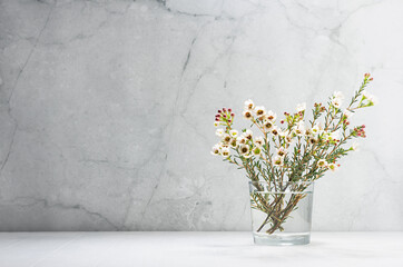 White cherry bloom branch in bright morning sun light as delicate spring home decor in modern grunge interior - marble wall, white wood table, copy space.