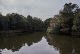 Fototapeta Łazienka - reflection of trees in the lake