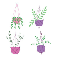 Wall Mural - Hanging plants. Potted plant. Houseplant. Hand drawn illustration. Flat vector illustration.