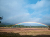 Fototapeta Tęcza - 雨上がりの湿原に虹がかかる。雨雲が去り、青空が広がっていく。爽やかな風が頬を撫ぜて秋を知らせる。