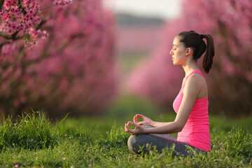 Wall Mural - Profile of a yogi doing yoga in pink in a field