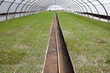 © WH_Pics - Tomato seedlings plants at greenhouse