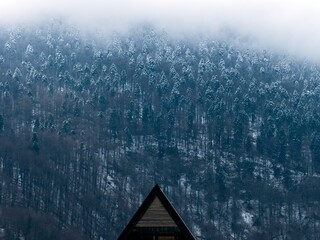 Canvas Print - mountain