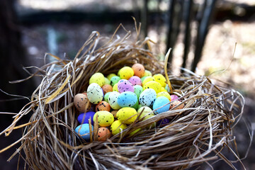 Multi-colored Easter eggs in a bird's nest. Straw and twig bird nest with egg. Easter is a Christian holiday that celebrates the belief in the resurrection of Jesus Christ