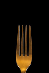 Stylish fork on dark background