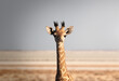 © robertharding - Portrait of a giraffe (Giraffa camelopardalis), Namibia