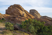 Image Of  Rock Formations At Vasquez Rocks Natural Area Park Near Agua Dulce In Los Angeles County. A Number Of Alligator Juniper Plants (Juniperus Deppeana) Are In The Foreground.