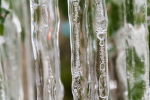 Close-up Of Icicles On Plant