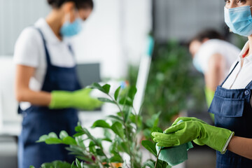 Wall Mural - Worker of cleaning service in medical mask holding rag near plant in office