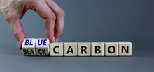 From Black To Blue Carbon. Businessman Turns Cubes And Changes Words 'black Carbon' To 'blue Carbon'. Beautiful Grey Background, Copy Space. Business, Ecological And Black Or Blue Carbon Concept.