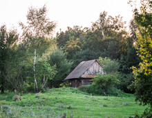 An Old Abandoned Barn Sits Near The Forest, Collapsing.