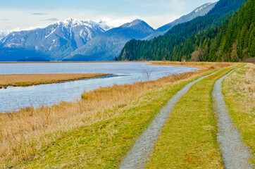 Fragment of Pitt Lake trail in Vancouver, Canada.