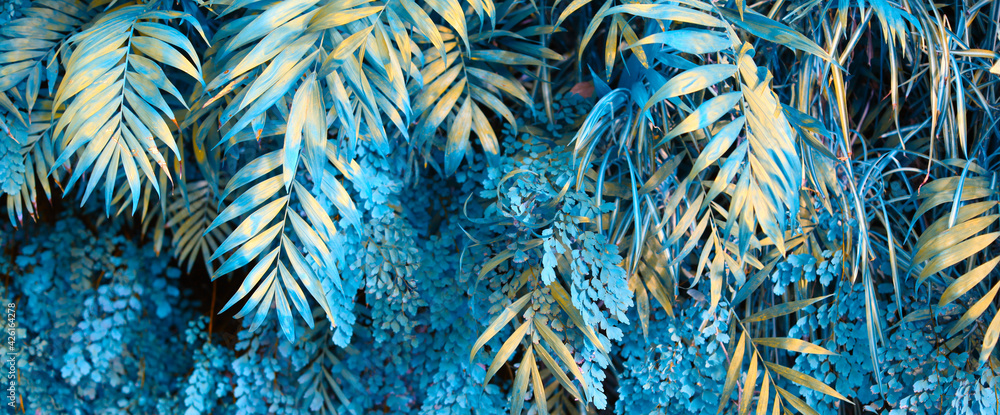 Wall with tropical plants. Nature blue background. - obrazy, fototapety, plakaty 