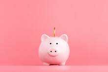 Pink Piggy Bank With A Coin Stands In The Center On A Pink Background. Online Business Shopping Concept