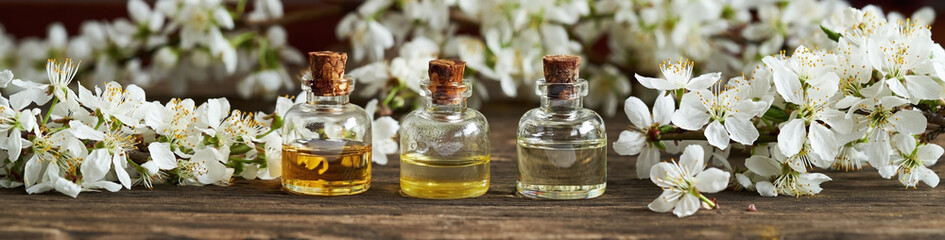 panoramic header of essential oil bottles with blooming spring trees