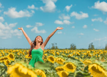 Happy Free Asian Woman Dancing With Arms Up Of Hapiness In Sunflowers Field Celebrating Spring Relaxing In The Sun. Girl Enjoying Nature Looking Up Sunbathing In Fresh Air.