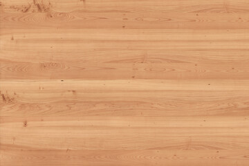 maple tree timber background texture structure surface