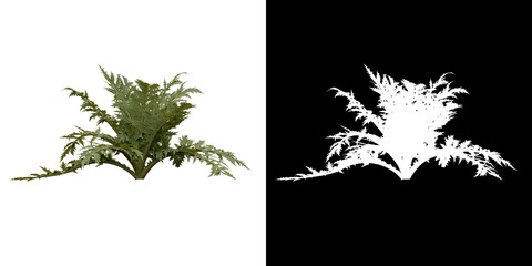 Wall Mural - left view of tree (cynara scolymus) png with alpha channel to cutout 3d rendering