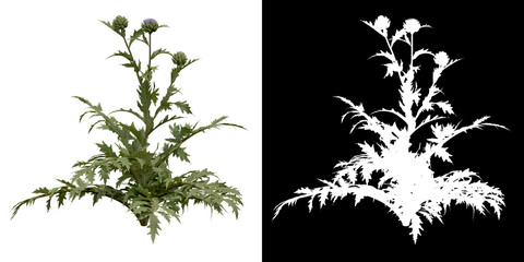 Wall Mural - front view of tree (cynara scolymus) png with alpha channel to cutout 3d rendering
