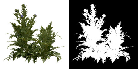 Wall Mural - front view of tree (cynara scolymus) png with alpha channel to cutout 3d rendering