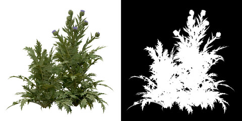 Wall Mural - left view of tree (cynara scolymus) png with alpha channel to cutout 3d rendering