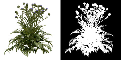 Wall Mural - front view of tree (cynara scolymus) png with alpha channel to cutout 3d rendering