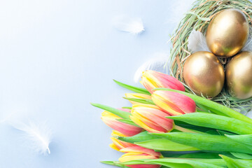 Wall Mural - Easter eggs gold. Golden colour egg in basket with spring tulips, white feathers on pastel blue background in Happy Easter decoration. Congratulatory easter design. Flat lay, top view.