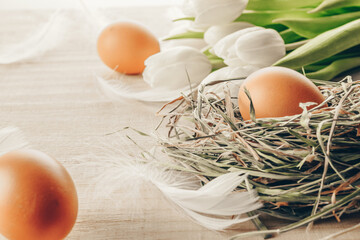 Wall Mural - Color eggs in basket with spring tulips, white feathers on wooden table background in Happy Easter decoration. Foil minimalist egg design, modern design template.
