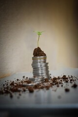 coin stack money saving concept. green leaf plant growth on rows of coin on white background. money matters tips to investment and business financial banking for Financial Wellness.