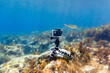 Using camera in waterproof box on a tripod to make photos and video from the bottom of the sea